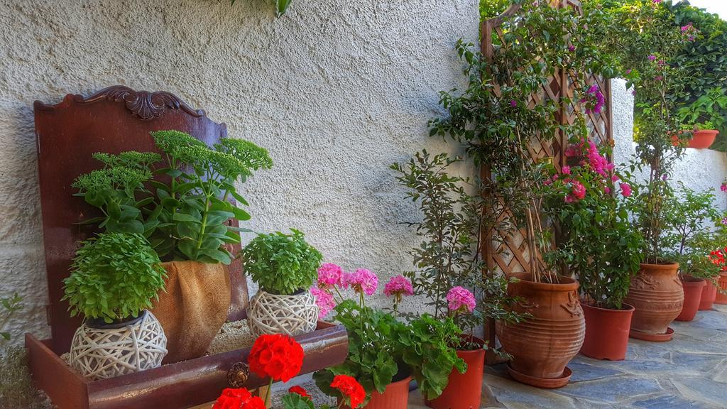 Eva'S House Mouresi Villa ภายนอก รูปภาพ